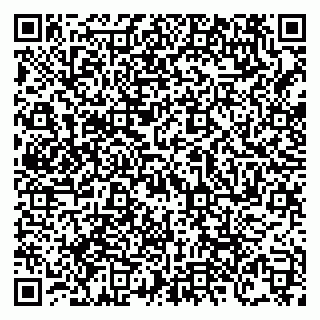 vCard 79138303553