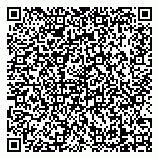 vCard 79138303554