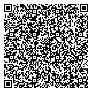 vCard 79138303555