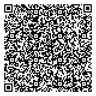 vCard 79138303556