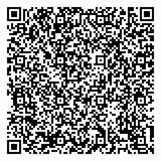 vCard 79138303557
