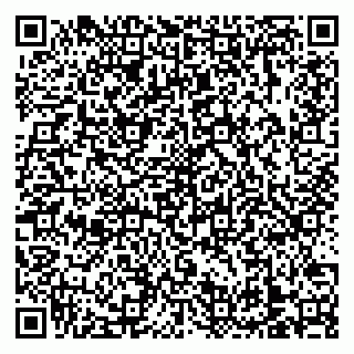 vCard 79138303558