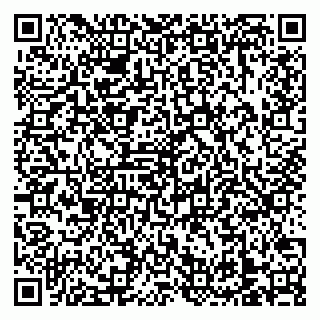 vCard 79138303559