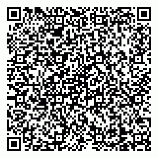 vCard 79138303563