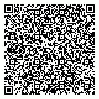 vCard 79138303568
