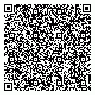 vCard 79138303569