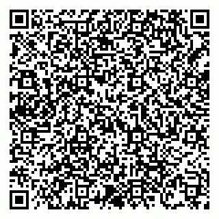 vCard 79138303572
