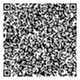 vCard 79138303573