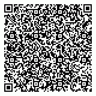 vCard 79138303575