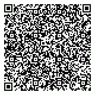 vCard 79138303577