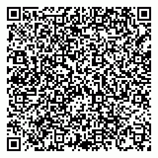 vCard 79138303578