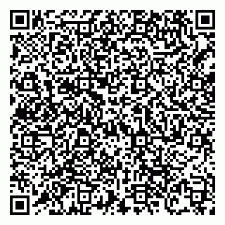 vCard 79138303579