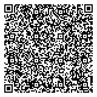 vCard 79138303581