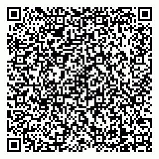 vCard 79138303583