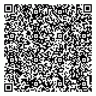 vCard 79138303585