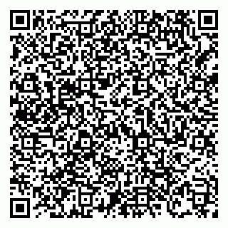 vCard 79138303588