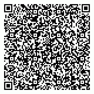 vCard 79138303589