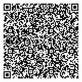 vCard 79138303593