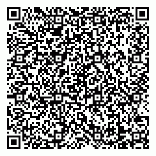 vCard 79138303594