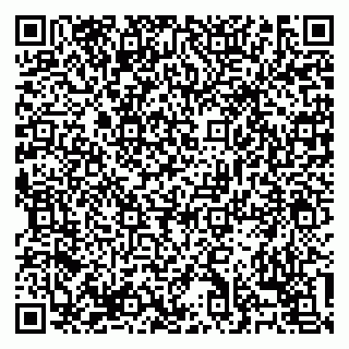 vCard 79138303595