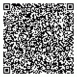vCard 79138303596