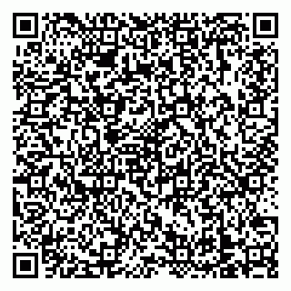 vCard 79138303598