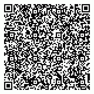 vCard 79138303599