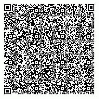 vCard 79138451502