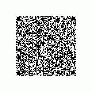 vCard 79138685314