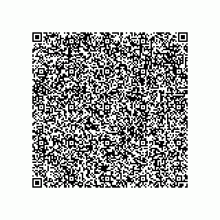 vCard 79138883381