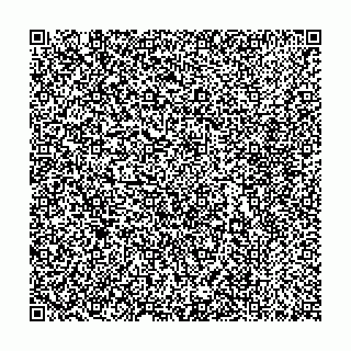 vCard 79139150511