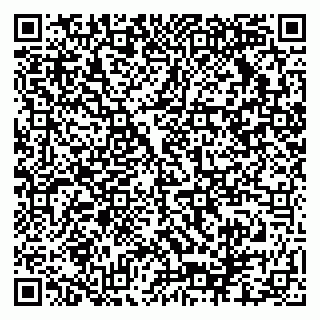 vCard 79140830031