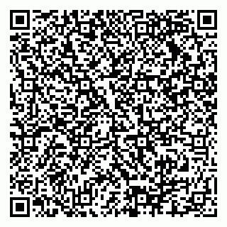 vCard 79140830060
