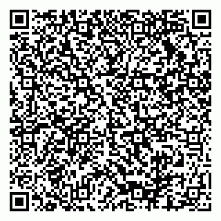 vCard 79140830127