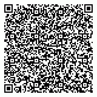 vCard 79140830132