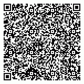 vCard 79140830133