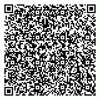 vCard 79140830137