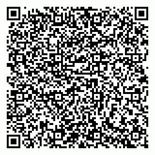 vCard 79140830163