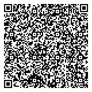 vCard 79140830172