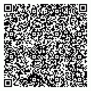 vCard 79140830173