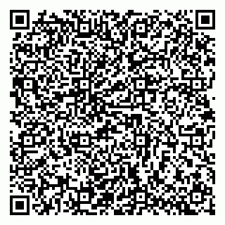 vCard 79140830208