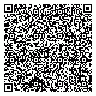 vCard 79140830233