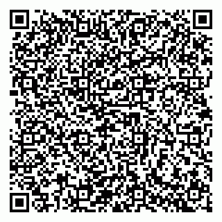 vCard 79140830263