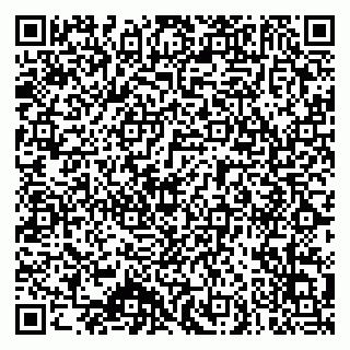 vCard 79140830272