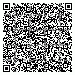 vCard 79140830273