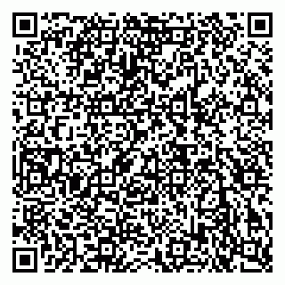 vCard 79140830299