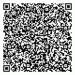 vCard 79140830313