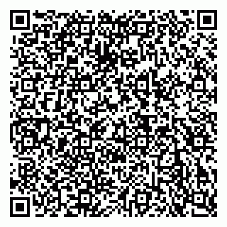 vCard 79140830321