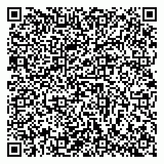 vCard 79140830329