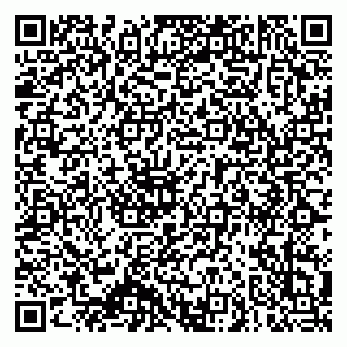 vCard 79140830330
